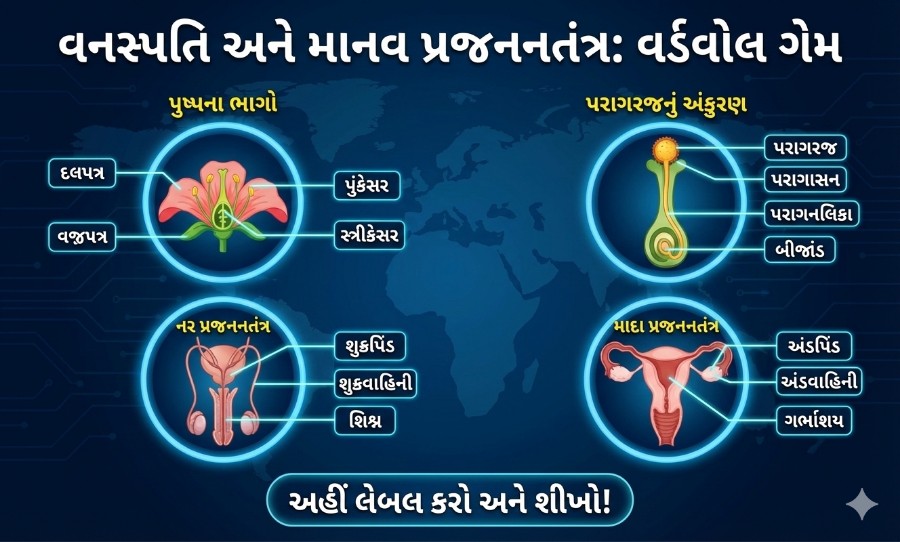 Std 10 science ch 7 wordwall game