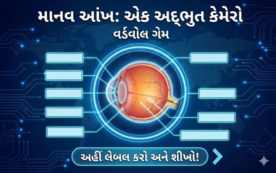 Std 10 science ch 10 wordwall game